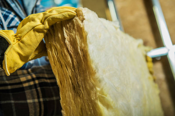 Best Eco-Friendly Insulation in Freeland, MI
